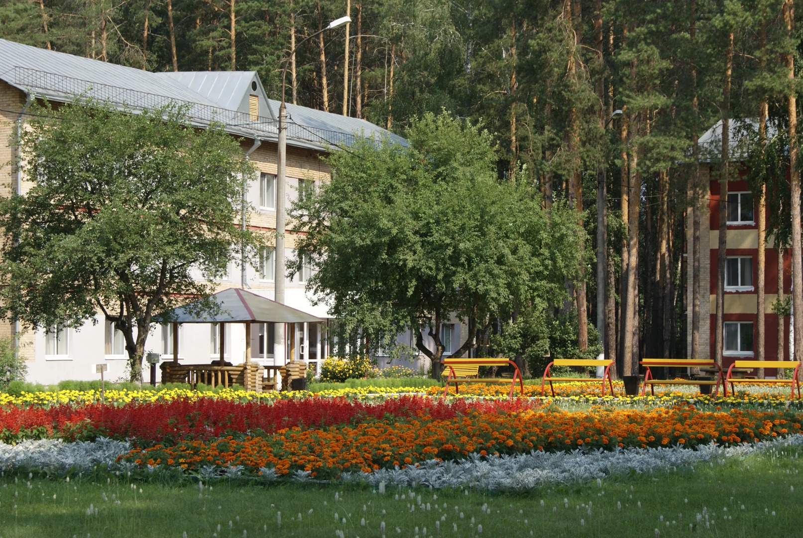 Krasnaya Gvozdika Sanatorium