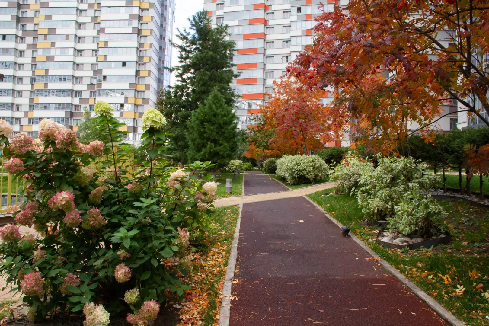 Апартаменты с Видом на Город