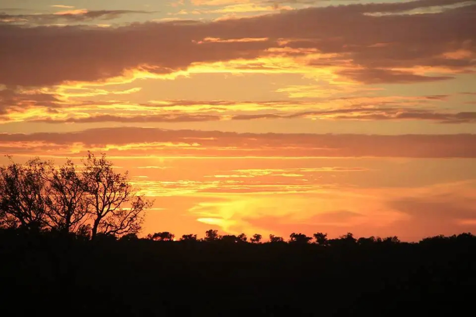 Гостевой Дом Buddha Peaceful Oasis