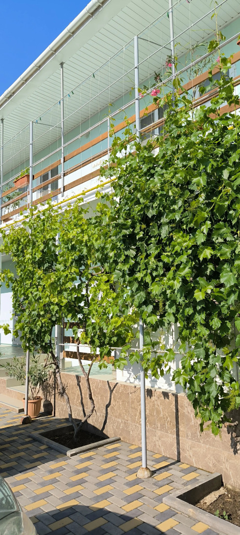 Гостевой Дом Oazis