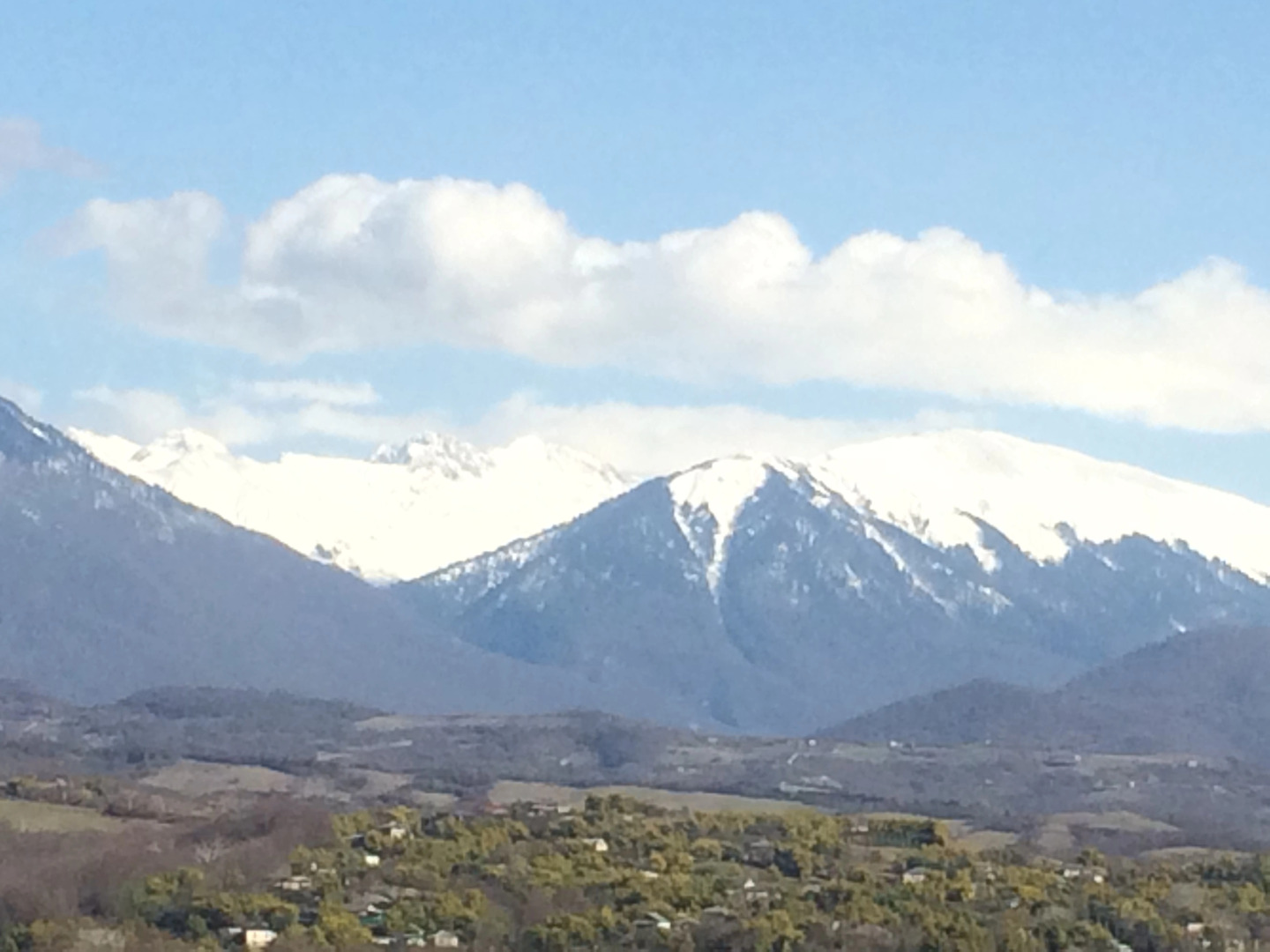 Апарт-отель Арабика