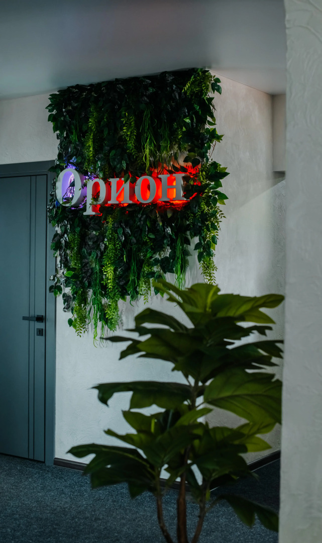 Отель Орион