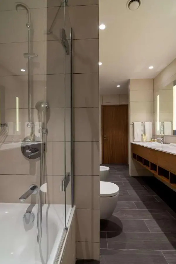 Отель Hilton Garden Inn Tbilisi Chavchavadze