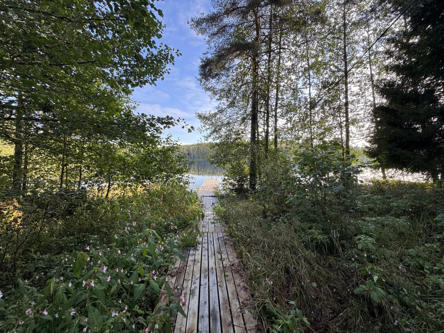 Частный дом Ретро-дача в Карельской деревне