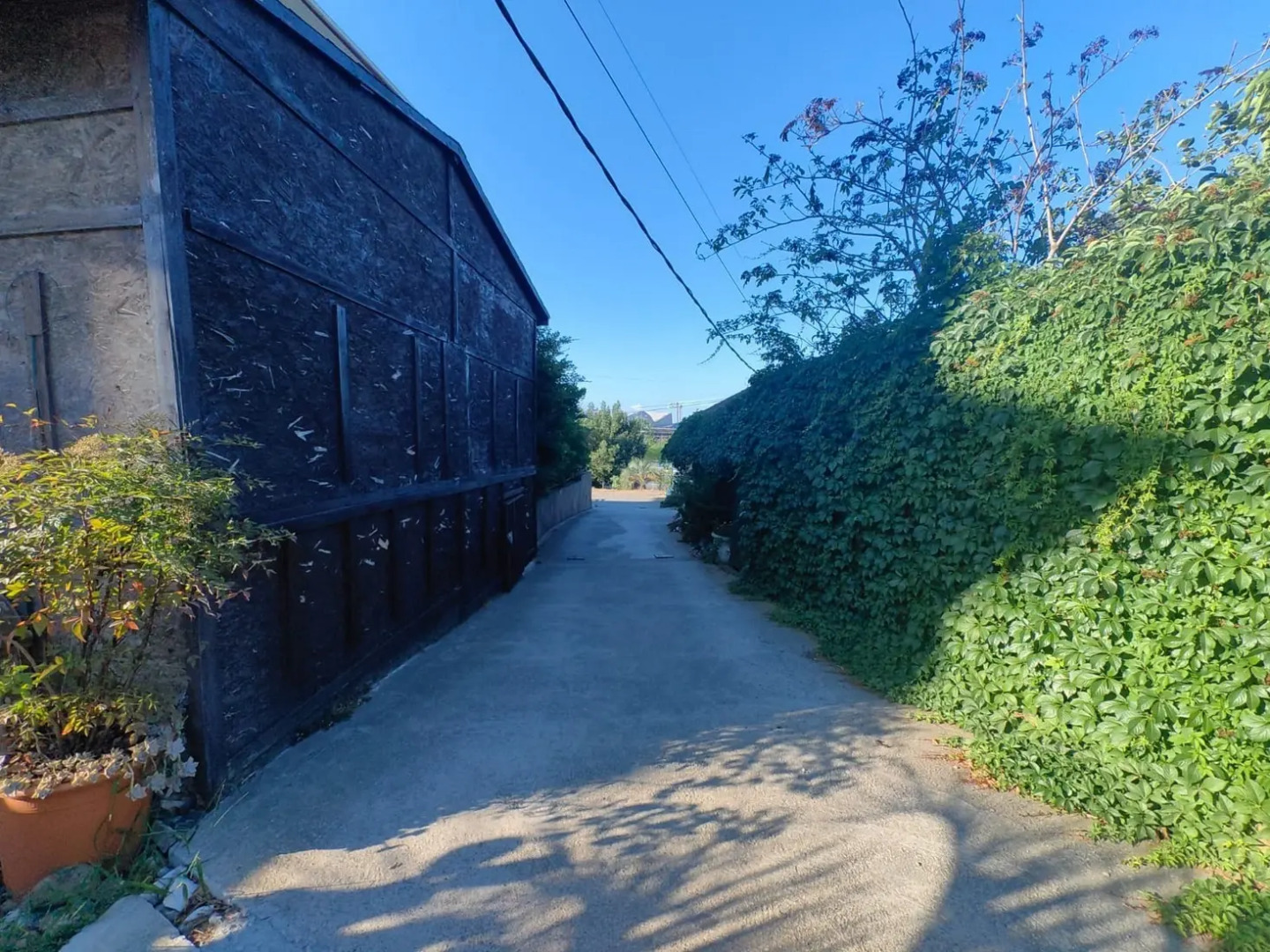 Гостевой дом ArtHome