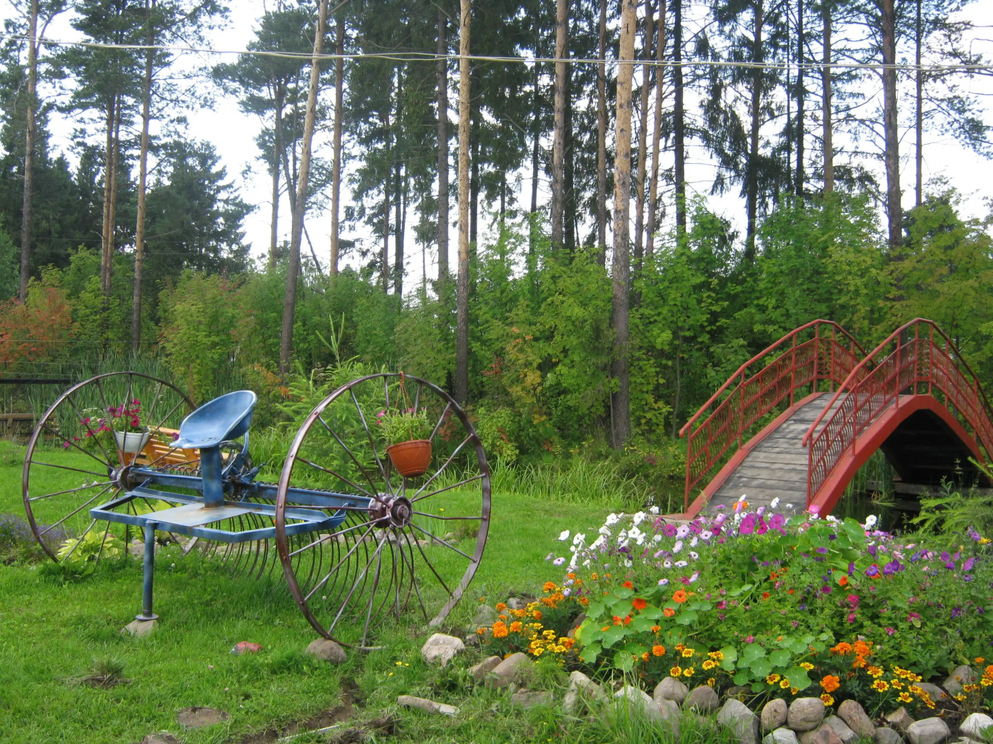 Отель Камелия