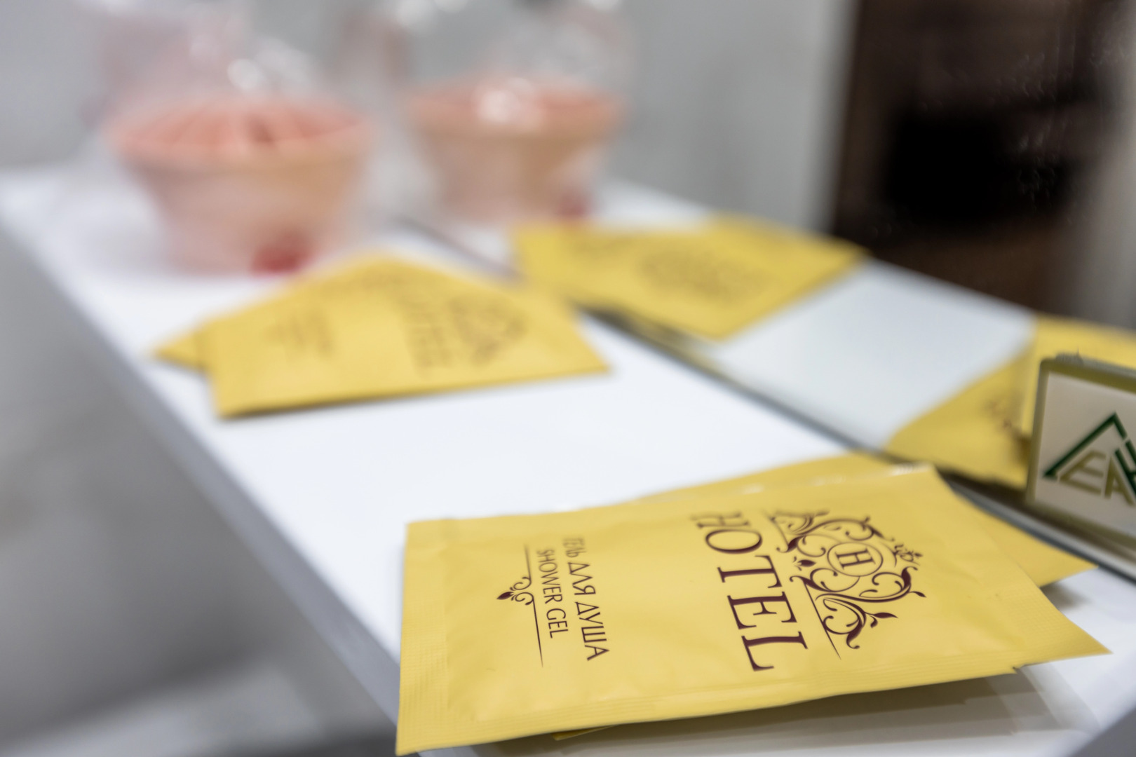 Меблированные комнаты Dagomis