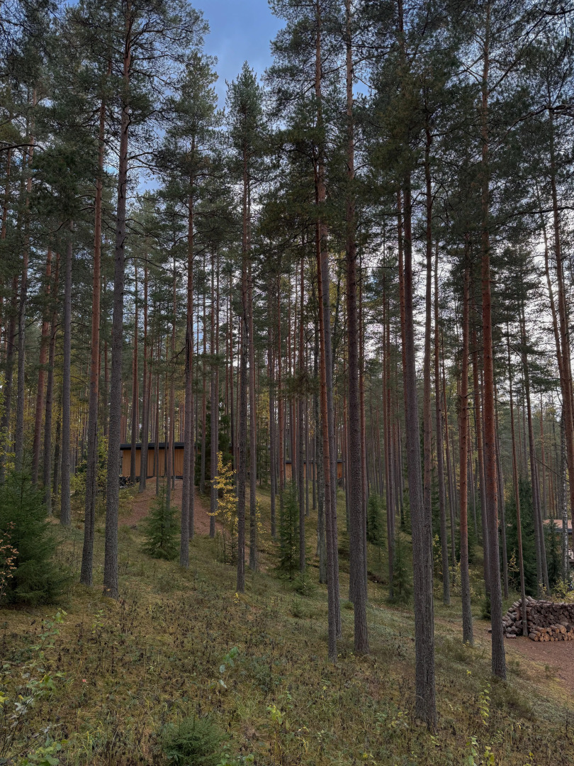 Отель Курорт Большое Борково