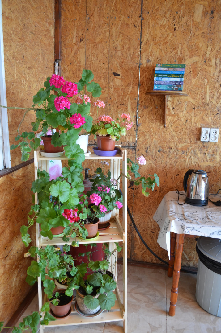 Апартаменты У моря