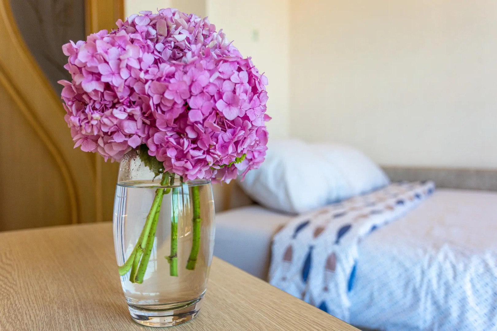 Апартаменты Романовский Lamare Двухкомнатные с  Балконом и Видом на Море