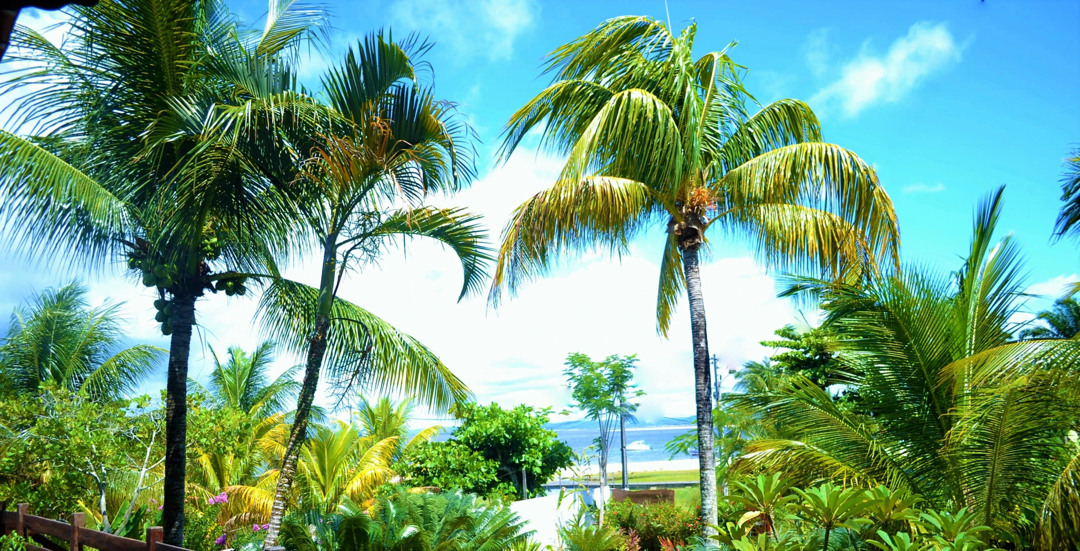 Отель Village do Dendê Garden Guesthouse and Bungalows