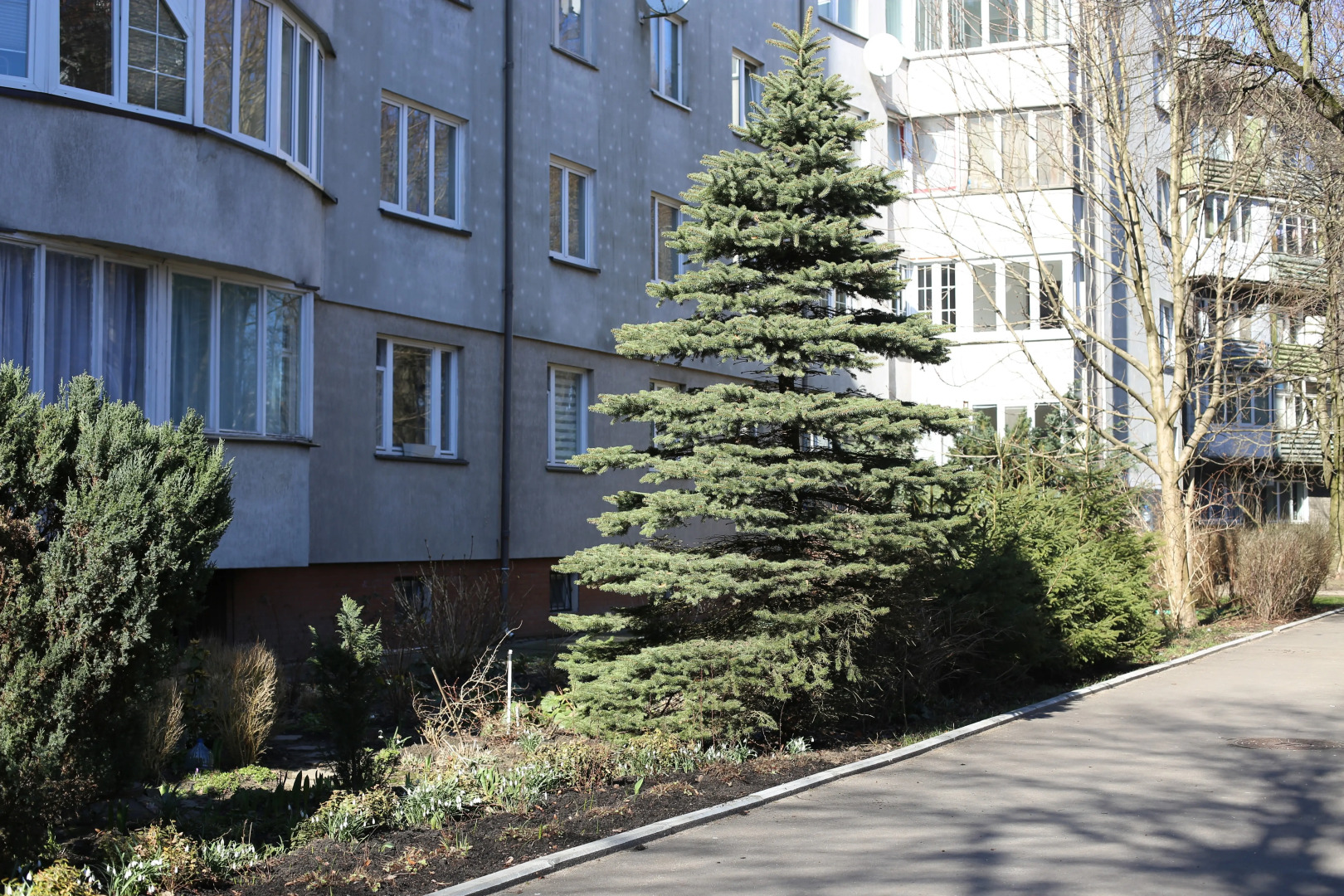 Апартаменты Айвазовский - оранжевое настроение и пол из натуральной сосны в самом центре Калининграда