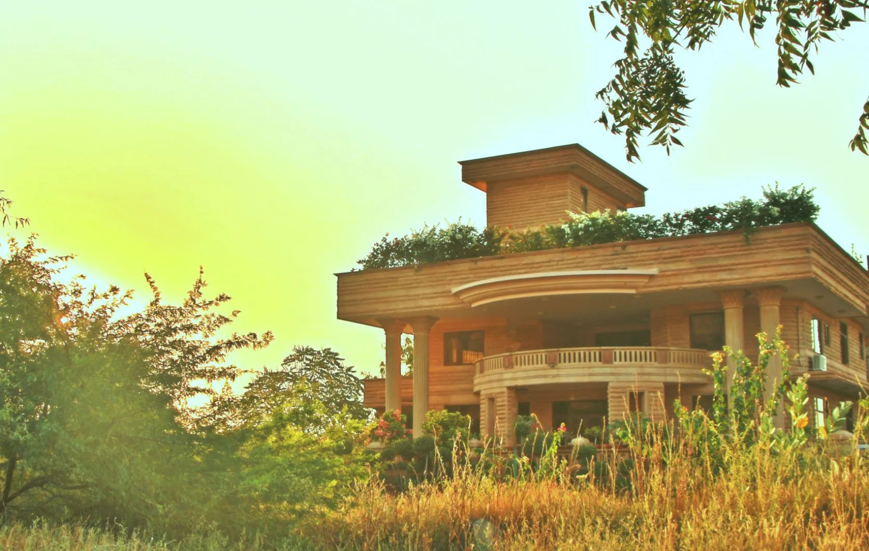 Отель The Almond Tree