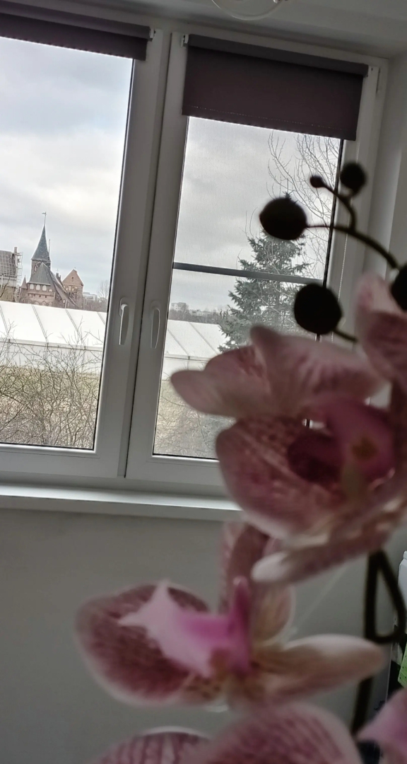 Квартира Генерала Карбышева 4