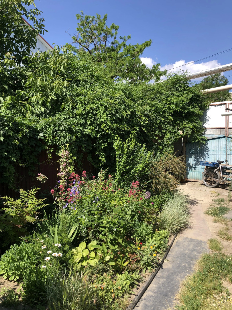 Zolotaya Rybka Sudak