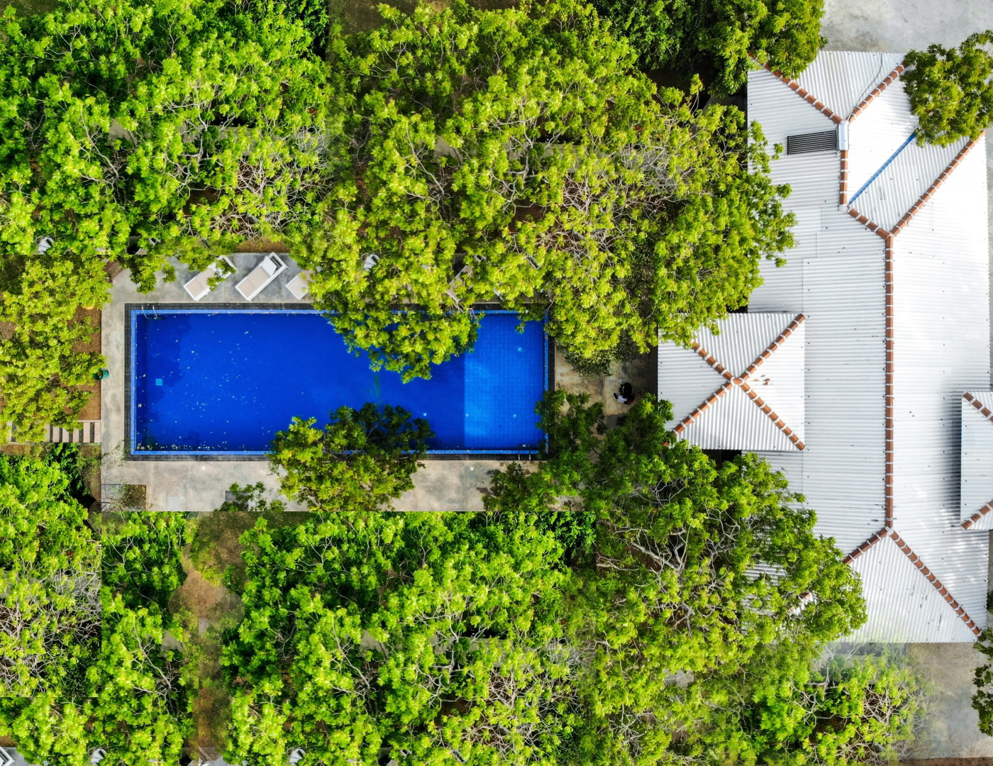 Отель Arana Yala