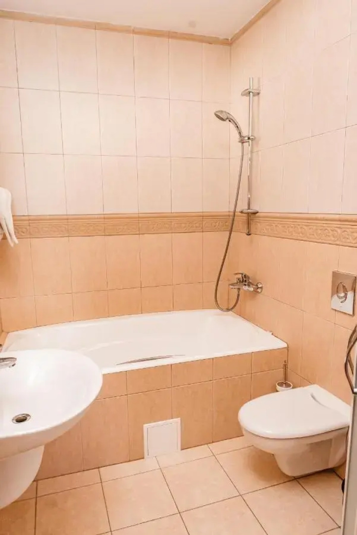 Отель Метелица