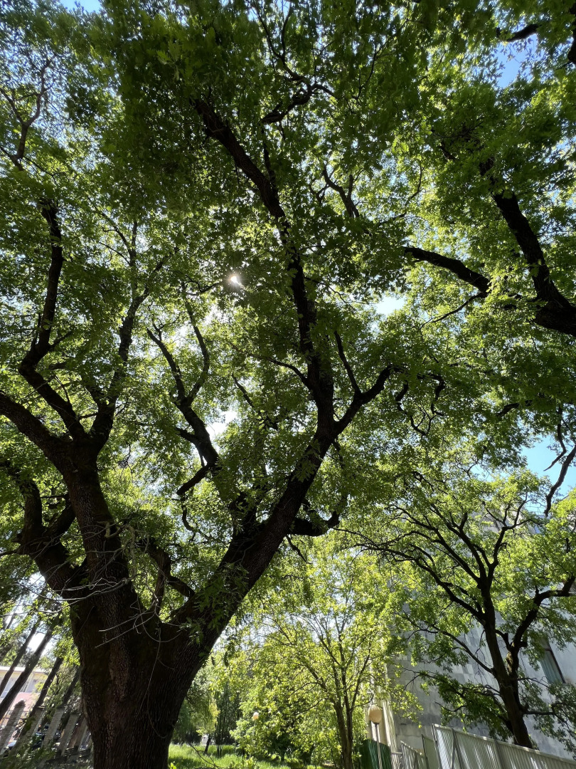 Геленджик Отель