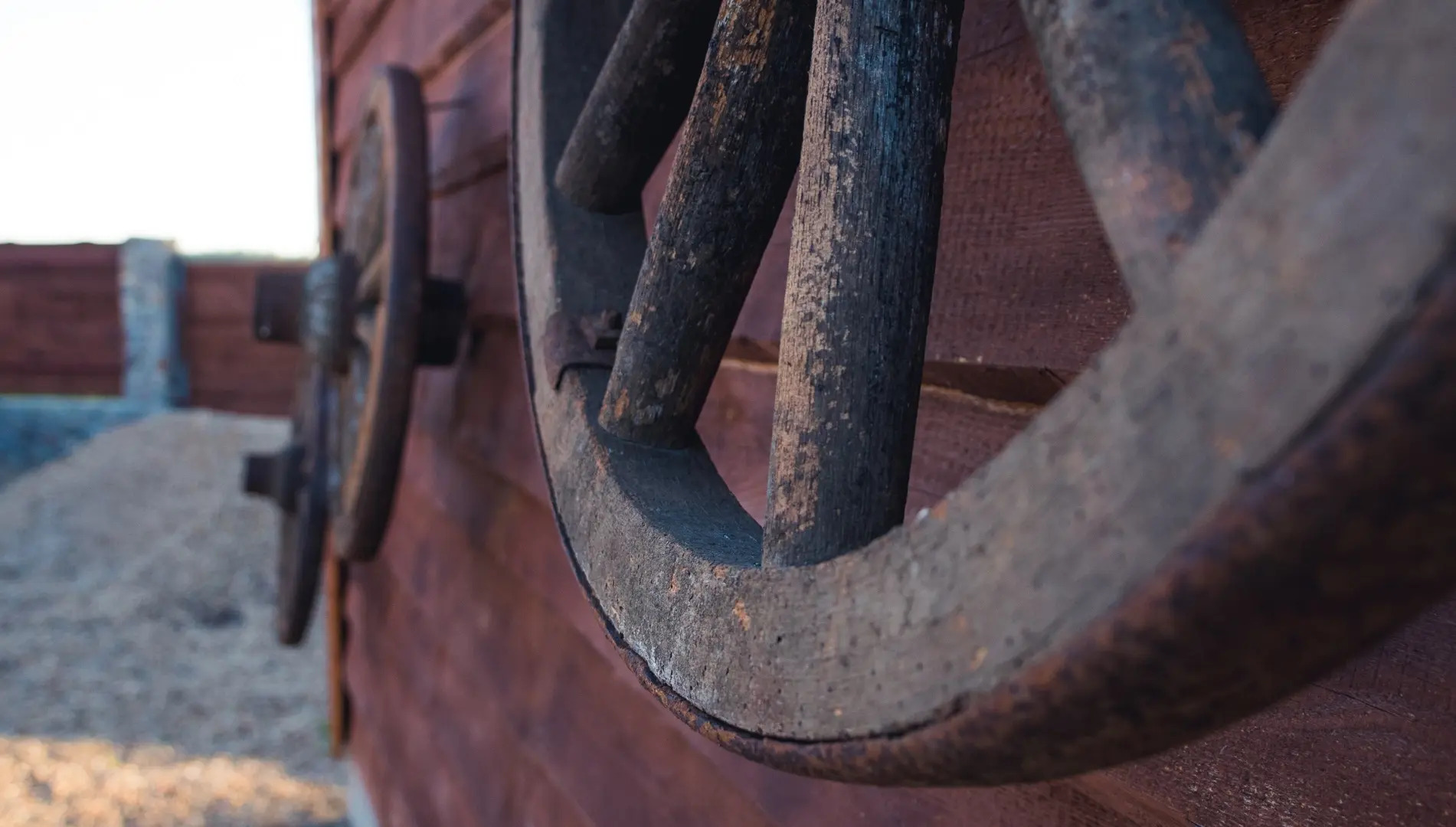 Гостевой дом Мечта в Беловежской Пуще