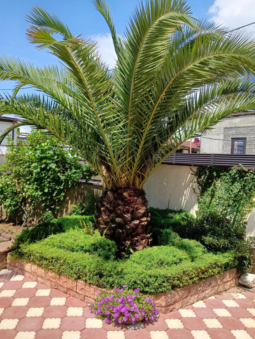 Гостевой Дом Орел-Изумруд