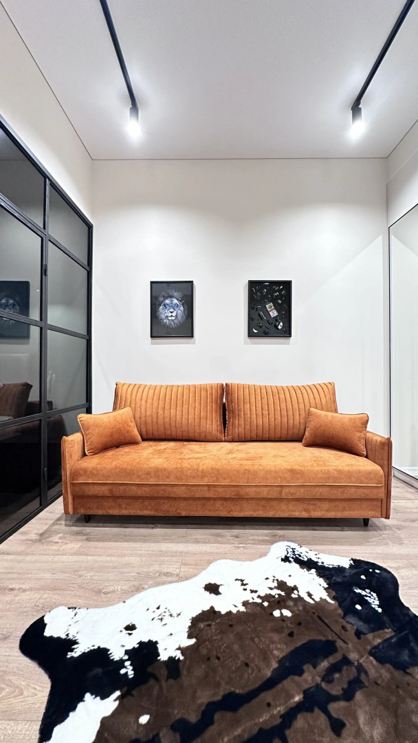 Апартаменты Однокомнатный апартамент люкс