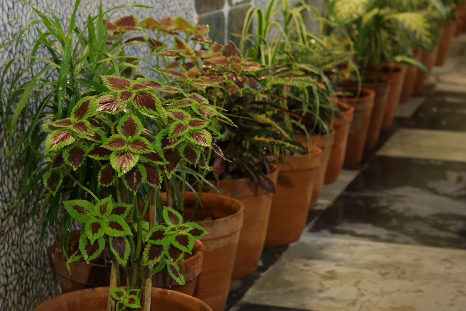 Отель Royal Castle