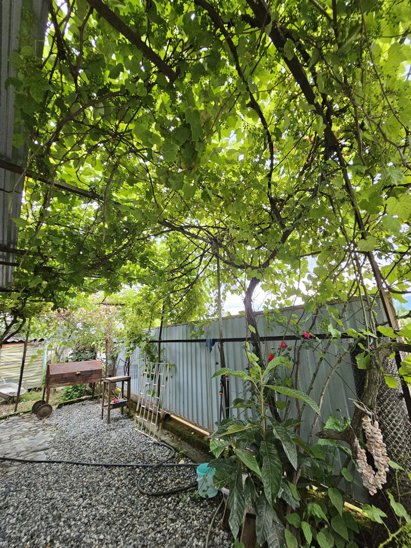 Гостевой дом Отдых в Алахадзы у Валерий