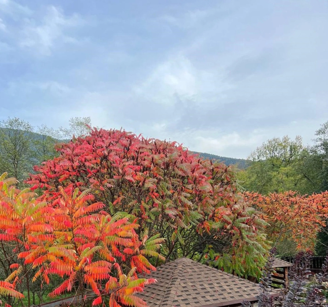 База отдыха Volkov House