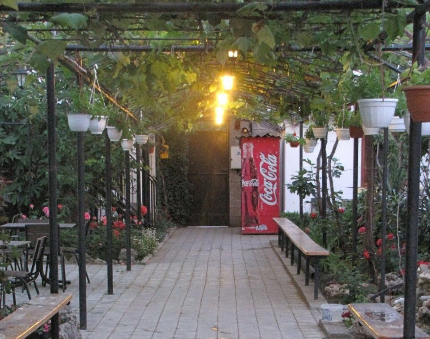 Меблированные комнаты У Чижика