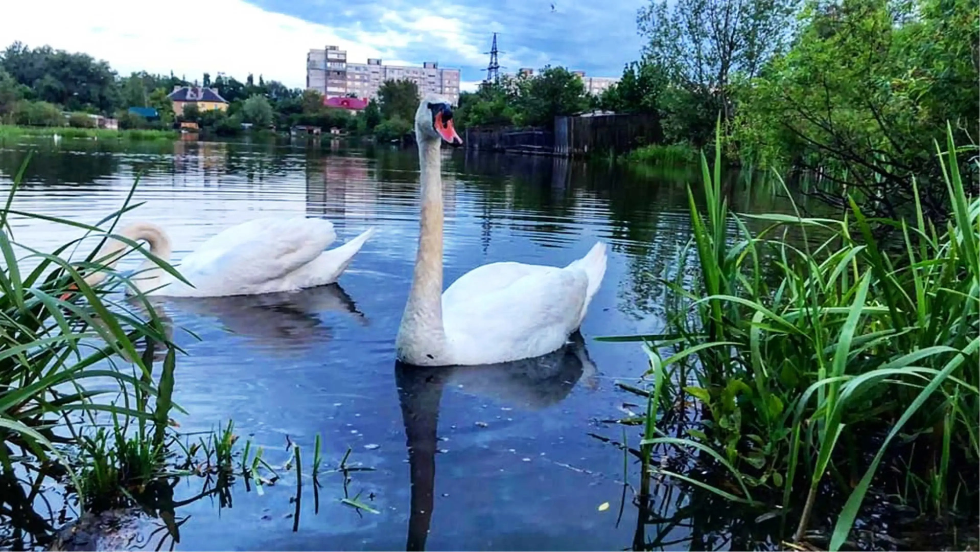 Квартира  MiHome Фантастические Закаты