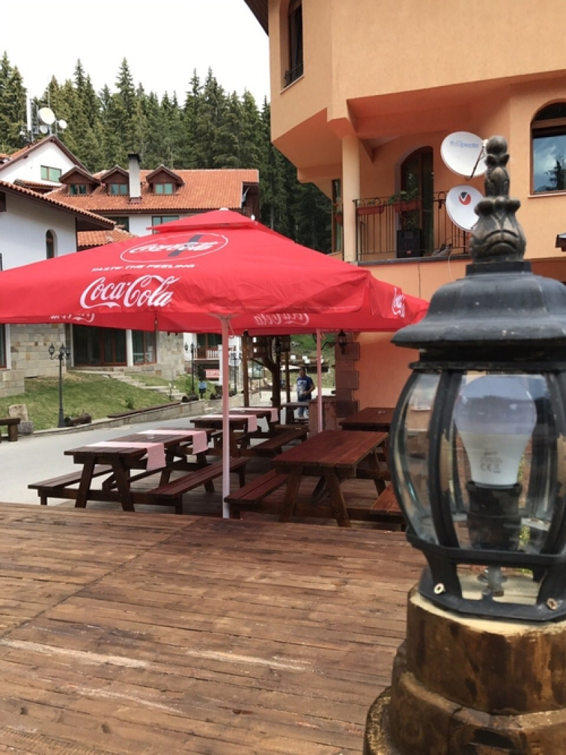 Отель Forest Glade