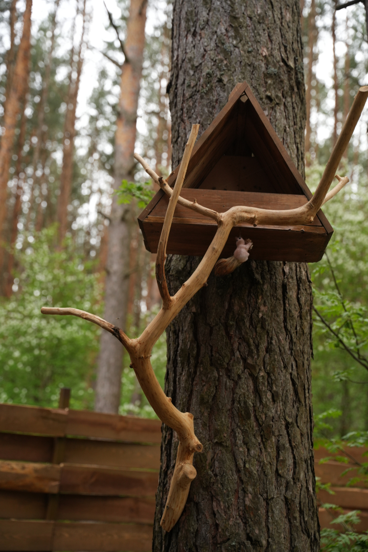 Частный дом Сова - Эко дом с чаном