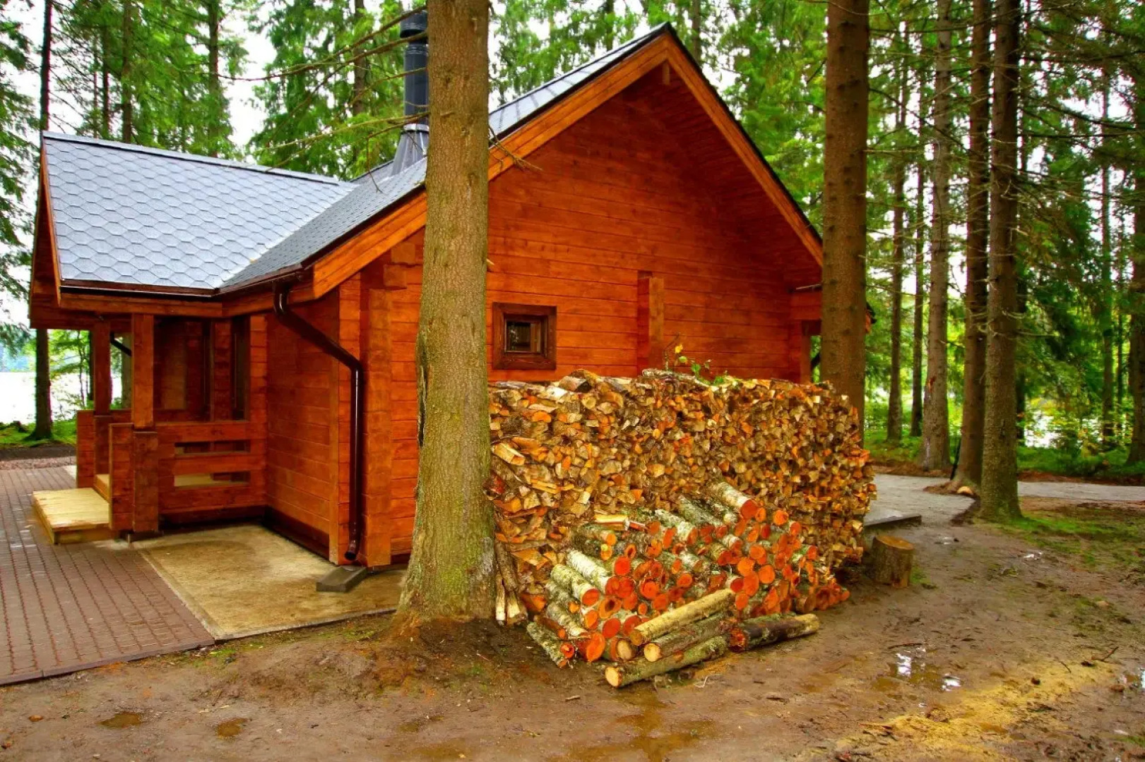 База Отдыха Ильичево