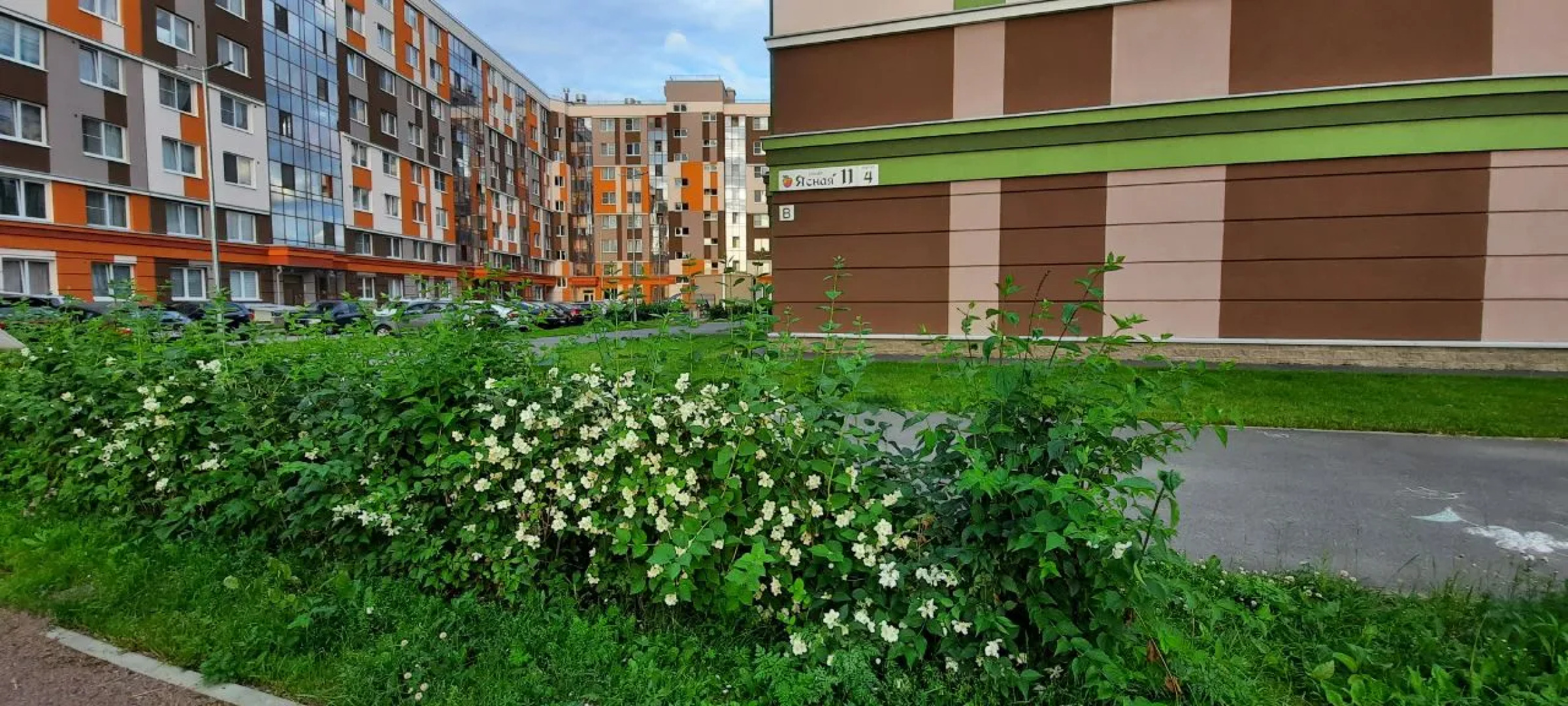 Апартаменты  ЖК Ясно Янино