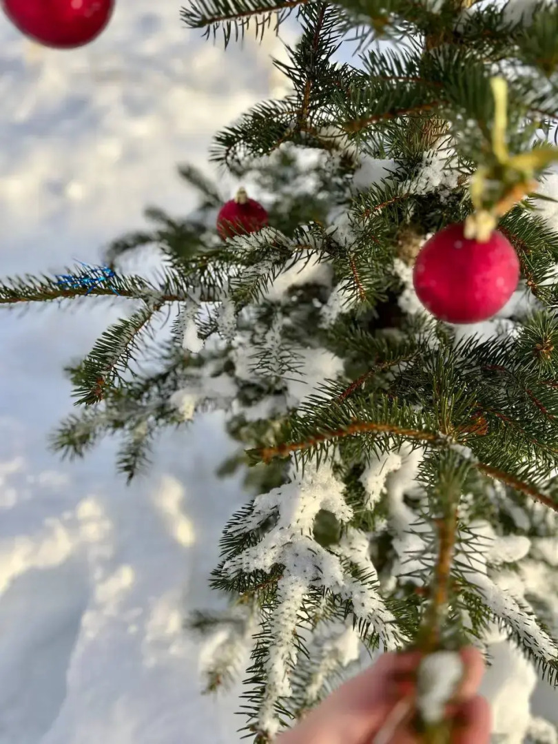 Частный Дом Лакшми
