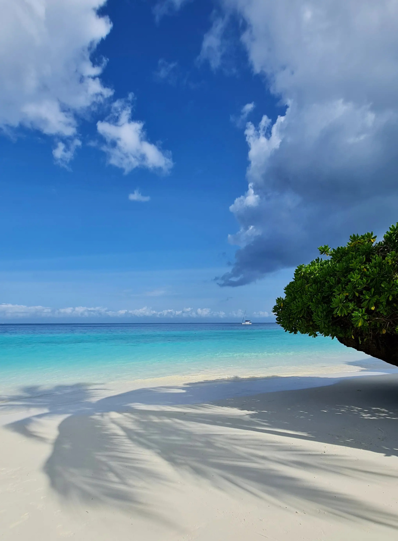 Вилла Frangipani House Zanzibar Nungwi