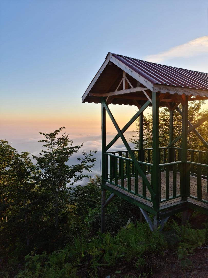 Flora Handüzü Resort & Wellness Bungalow Hotel