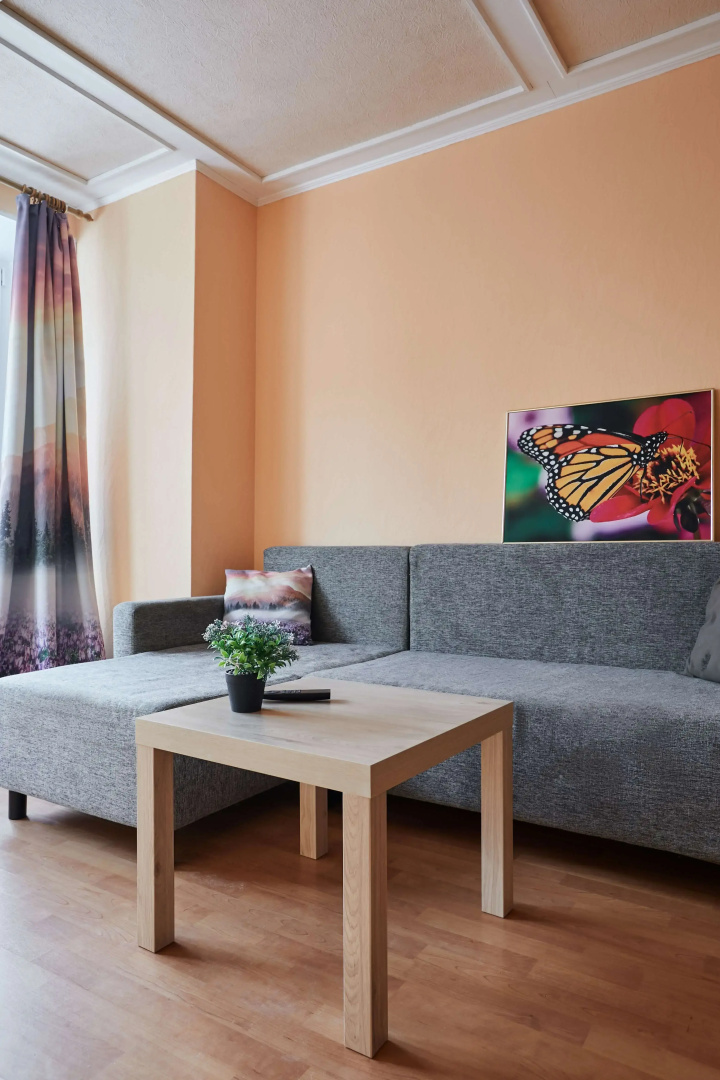 Квартира на Озерковой 51к2