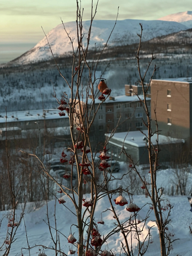 Квартира Уютная