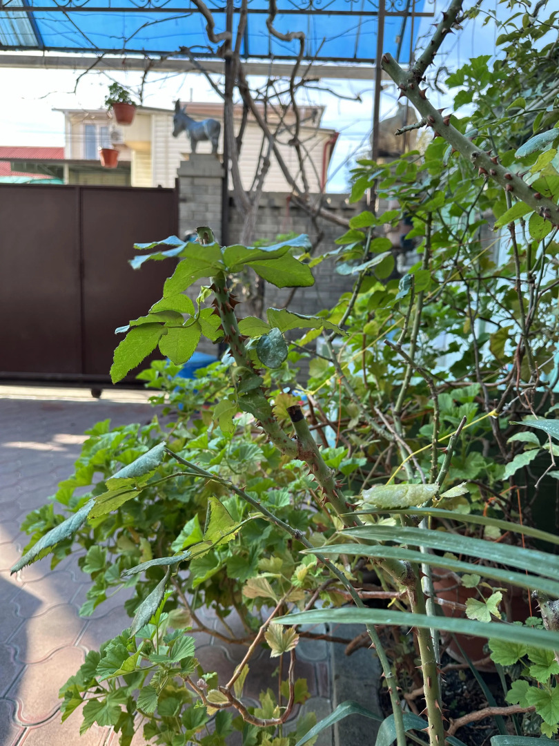 Гостевой дом МартЛен