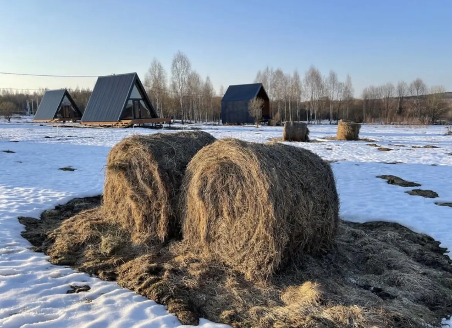 База Отдыха Лаванда