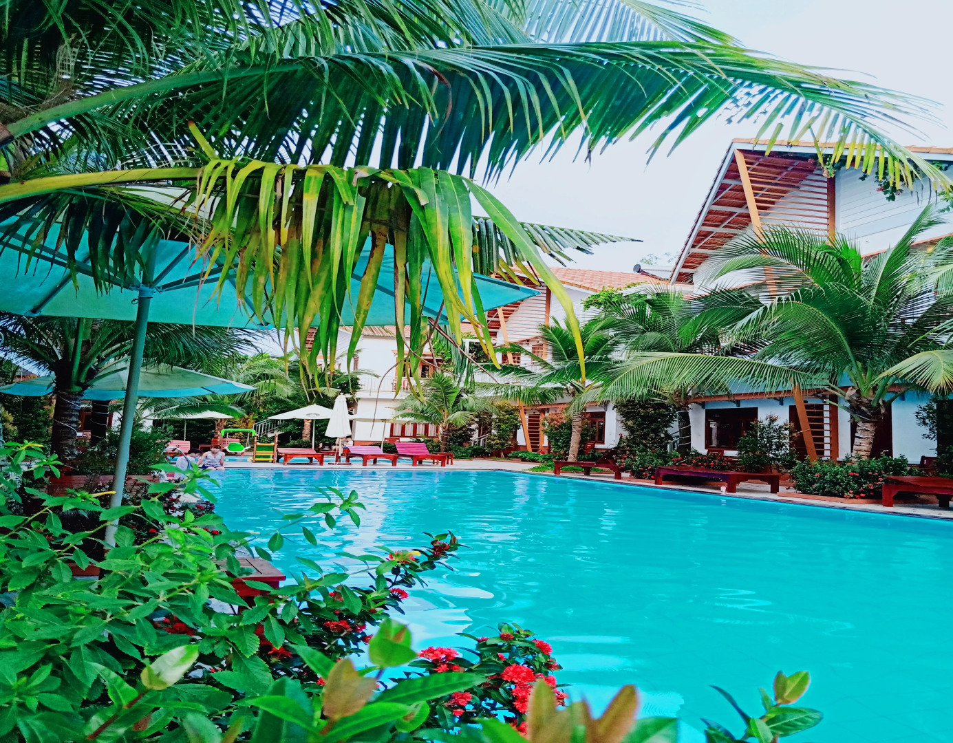 Отель Camellia Resort & Spa