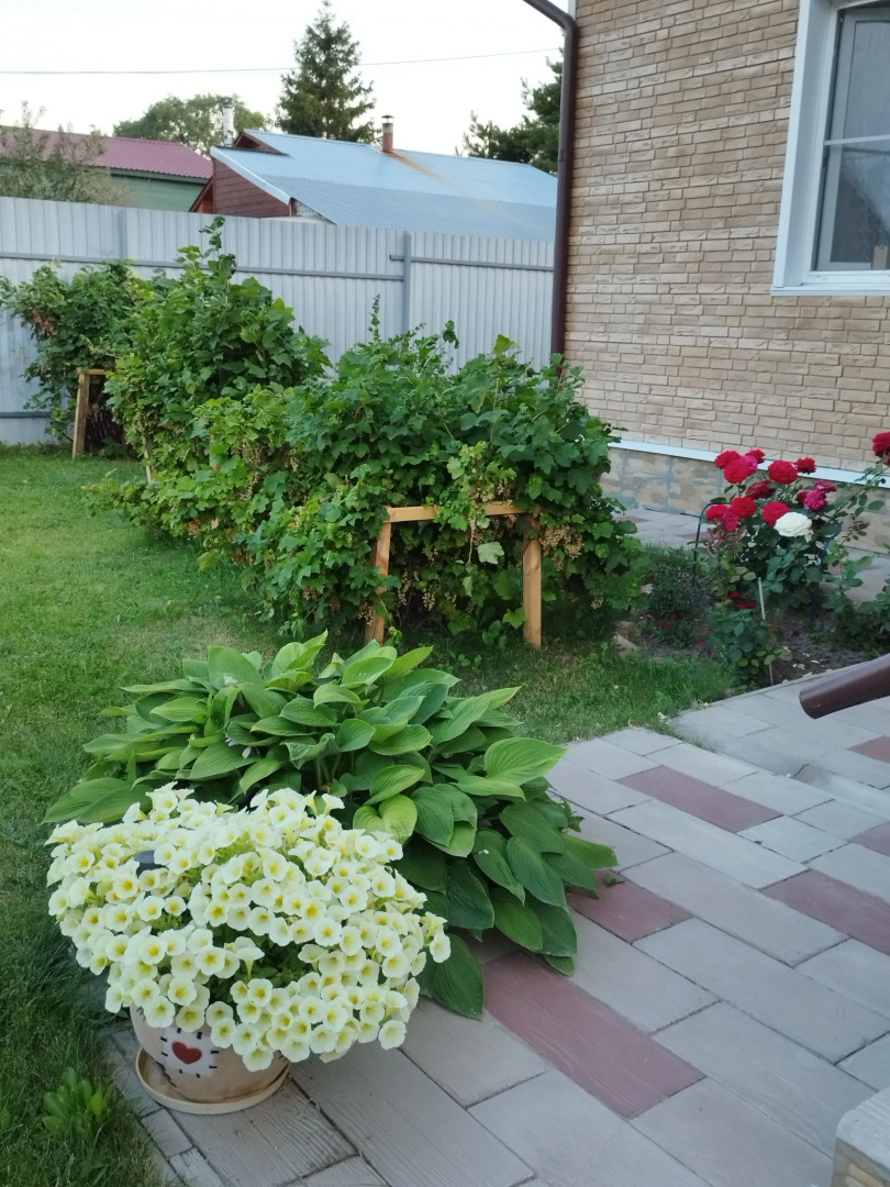 Частный Дом S Baney