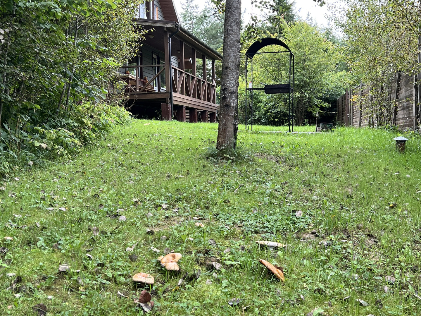 Частный дом Коттедж-клуб Донцо