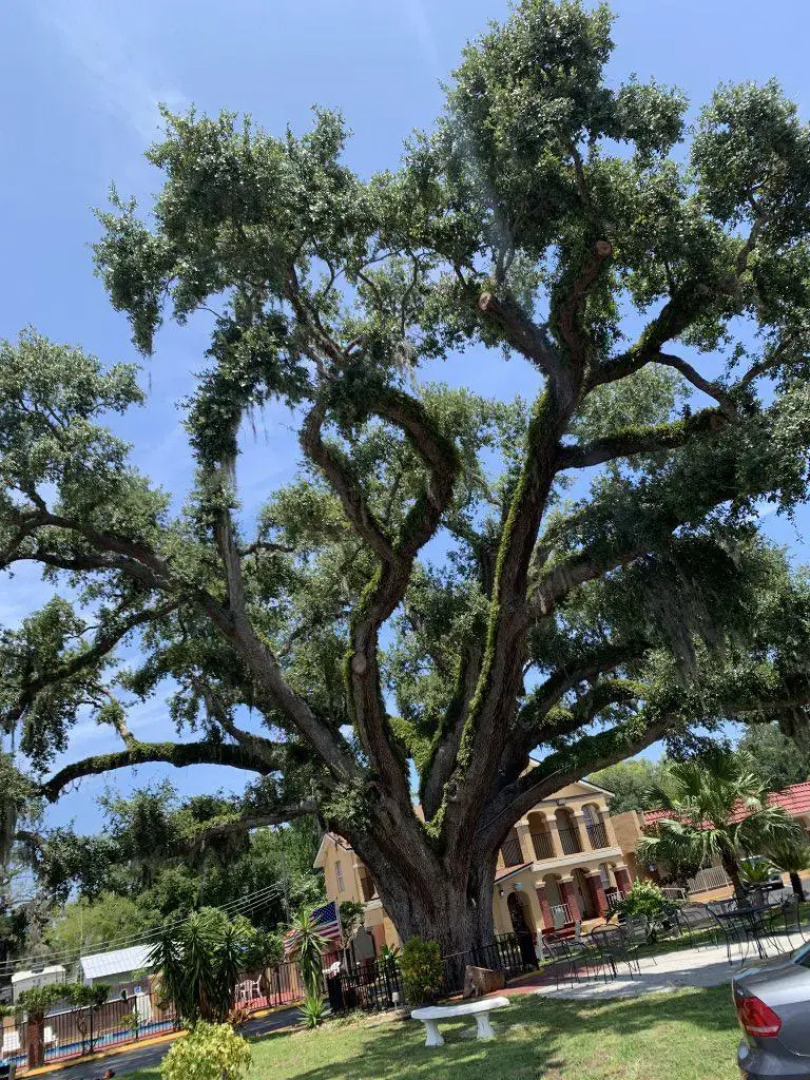 Отель Villa1565