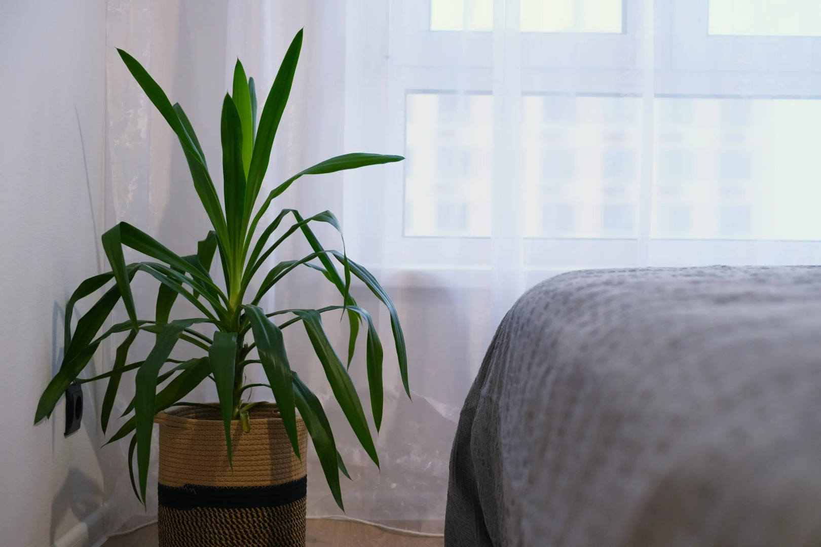 Апартаменты Soul 2к с Современным Стильным Интерьером в Новом ЖК