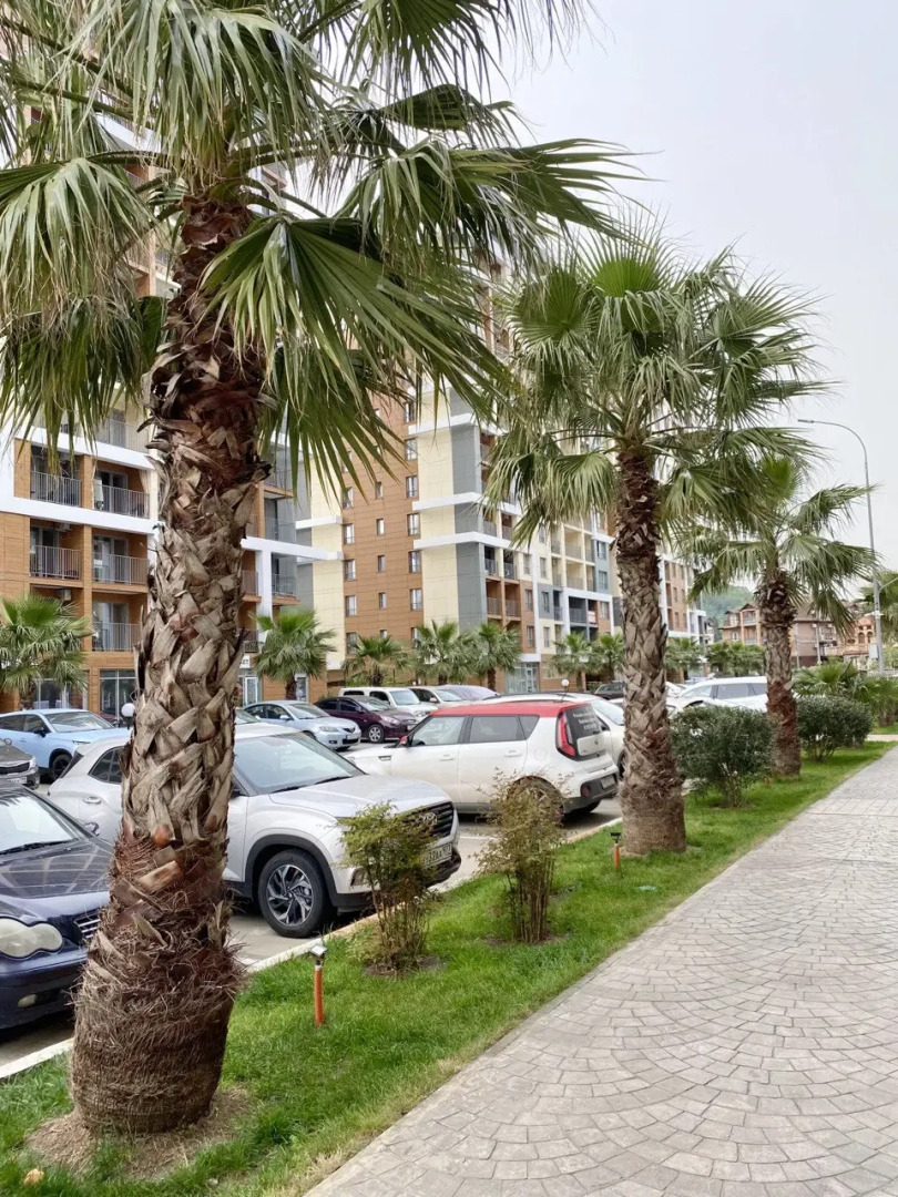 Апартаменты Сочи Комфорт и Эстетика