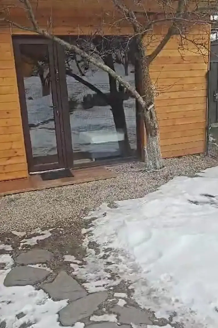 Гостевой дом Фруктовый сад