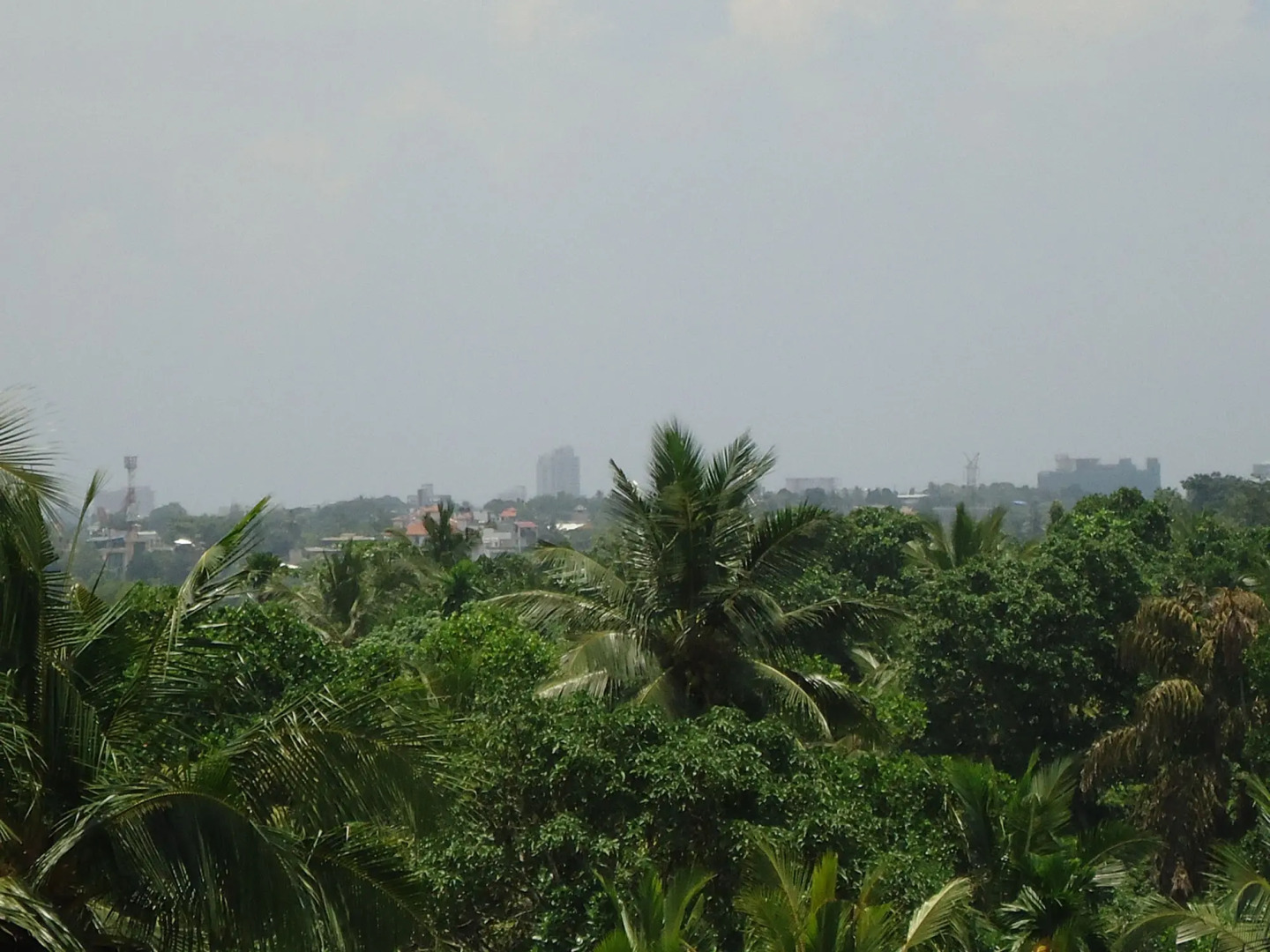 Отель Heina Nature villa colombo