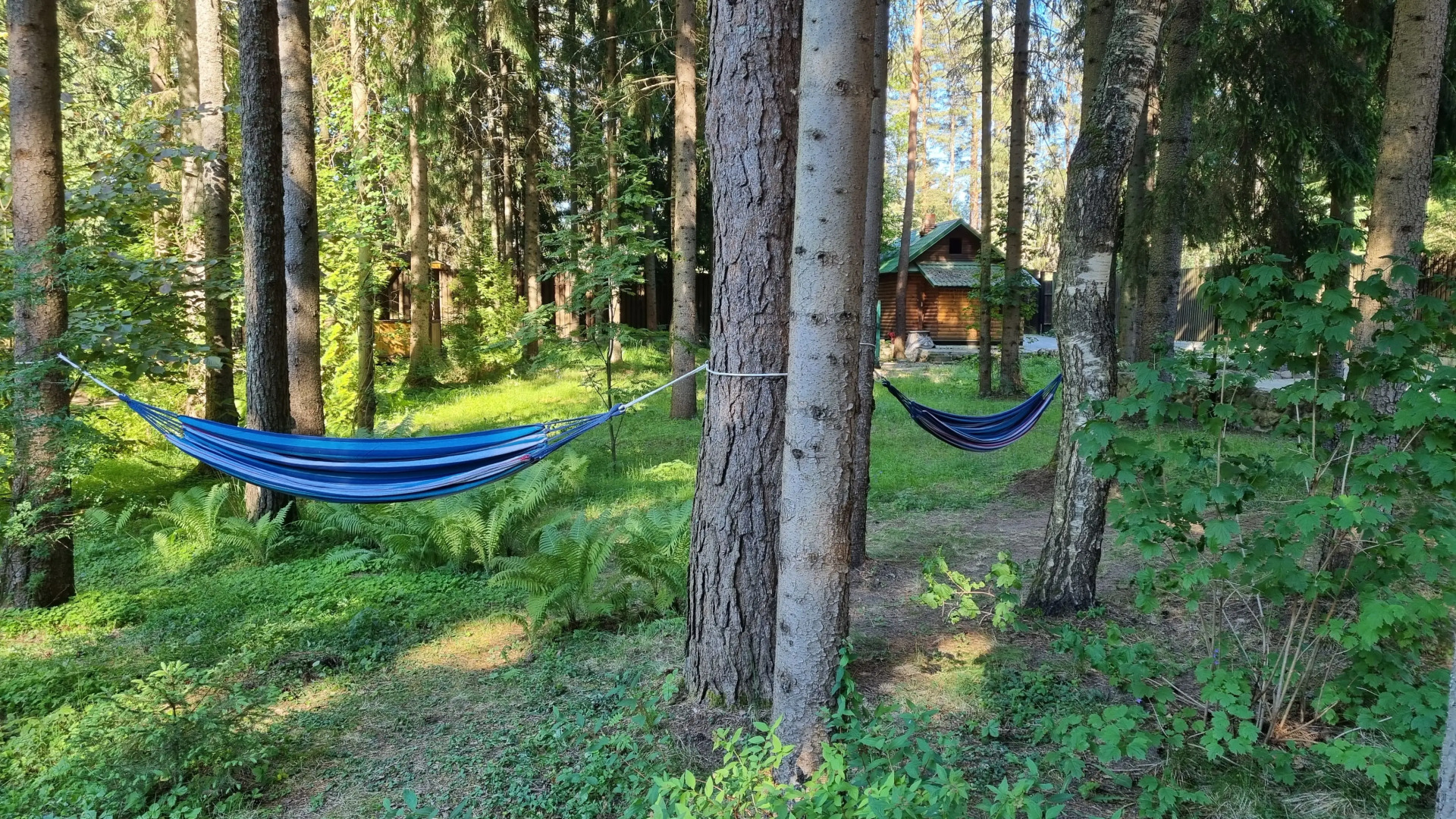 Отель Fusion by Wish Hotel Seliger